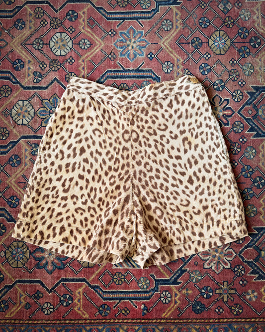 50s Leopard Print Cotton Corduroy Shorts / XS