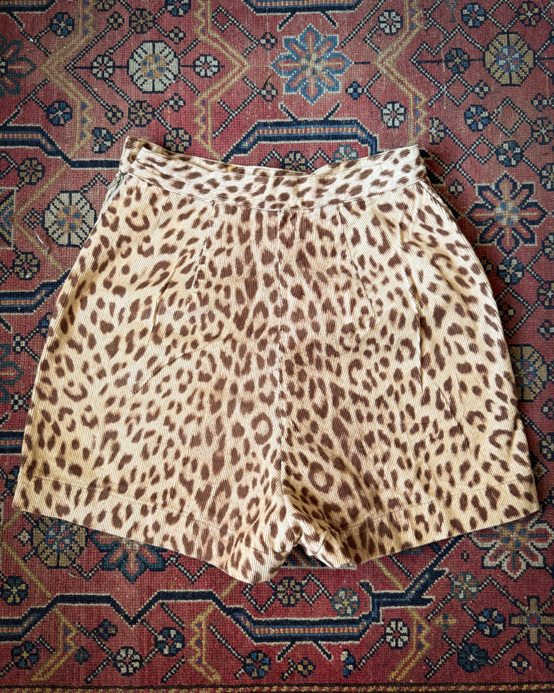 50s Leopard Print Cotton Corduroy Shorts / XS