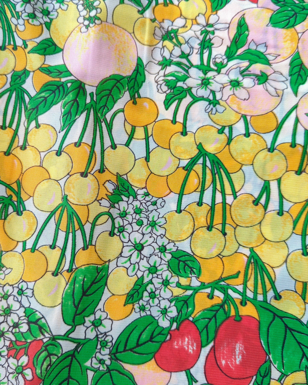 70s Botanical Fruit Shirt / M