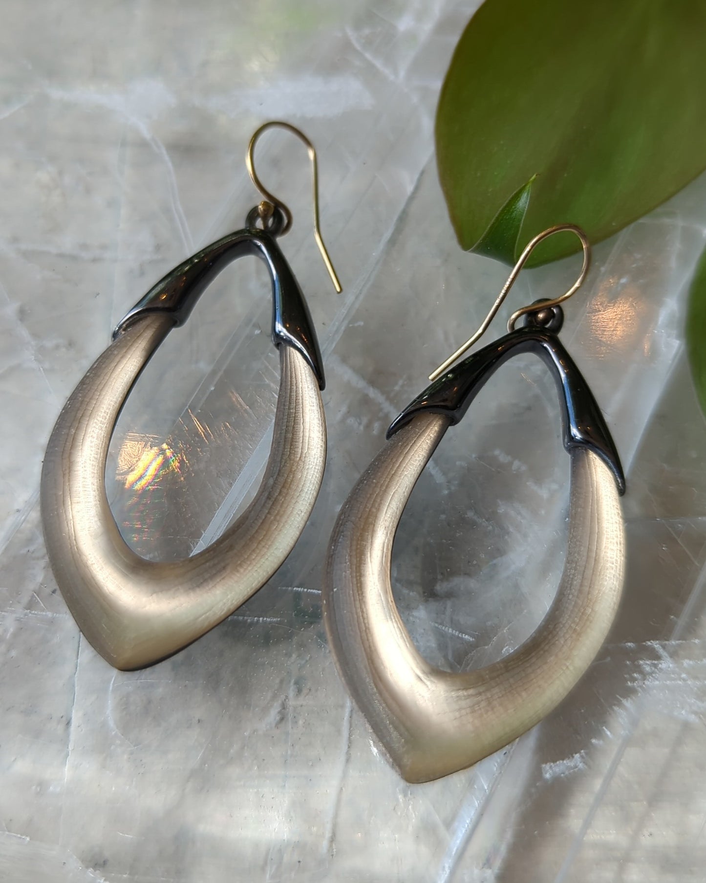 Alexis Bittar Frosted Lucite Dangle Earrings